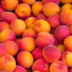 Melocotones frescos para industria de zumos y confituras