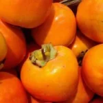 Caquis para transformación alimentaria en la industria ecológica