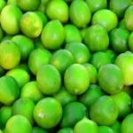 Limas verdes seleccionadas para uso industrial alimentario