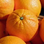 Naranjas del Levante para zumos y extractos naturales