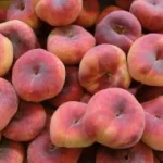 Paraguayos frescos para uso industrial agroalimentario