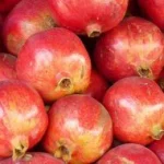 Granadas del Levante destinadas a transformación alimentaria ecológica