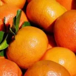 Mandarinas ecológicas listas para industria de zumos y derivados