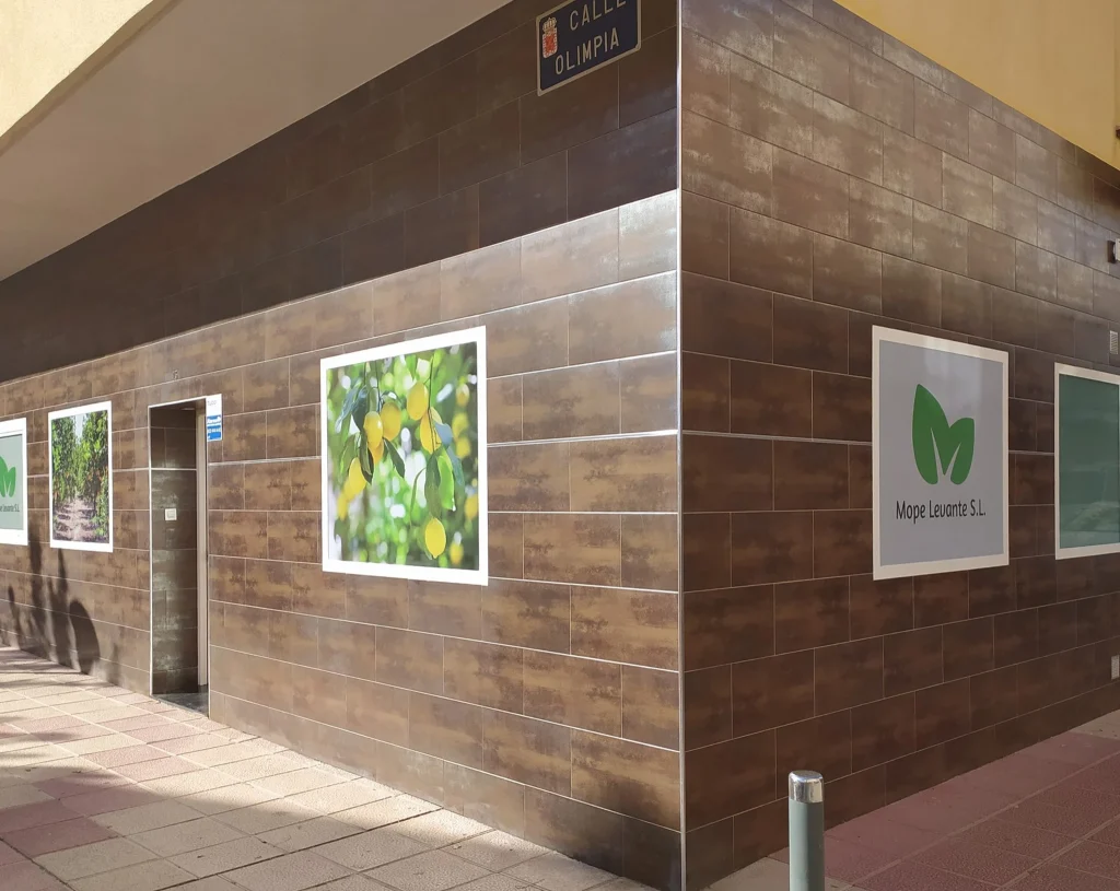 exterior-mope